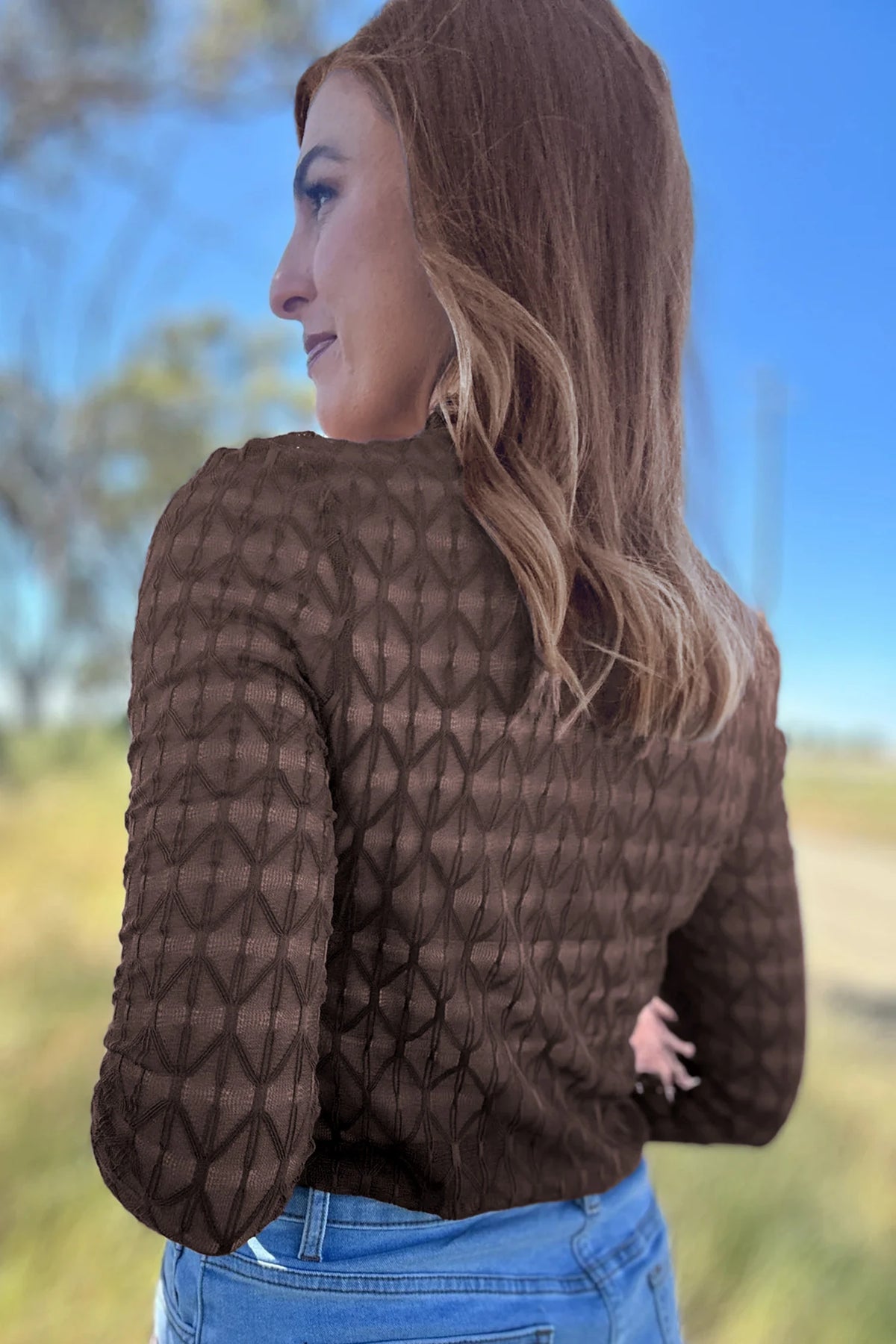 Brown Sheer Lace Top